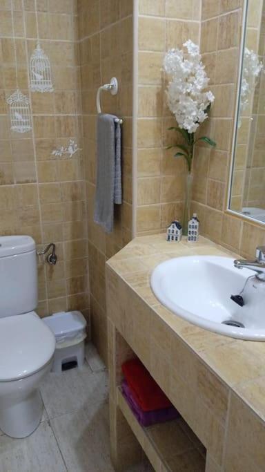 Bonito Apartamento Jv36 Apartment Cordoba Exterior photo